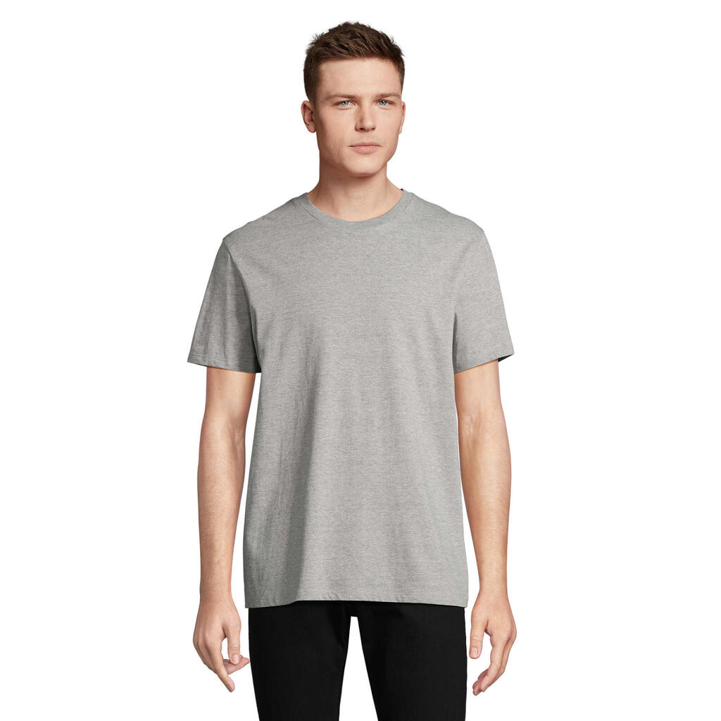 Unisex Adult Legend TShirt (Grey Melange)
