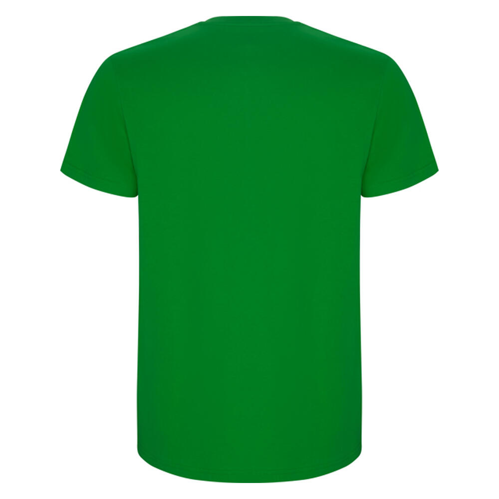 Tshirt STAFFORD Homme (Vert Gazon) 2/4