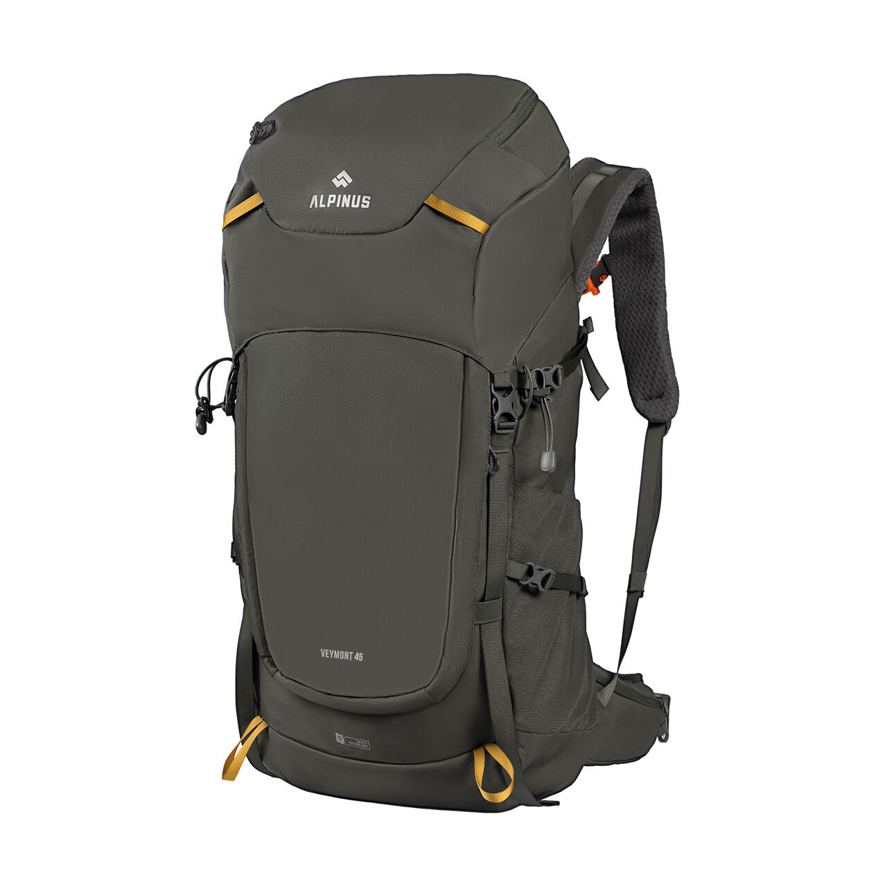 ALPINUS picture