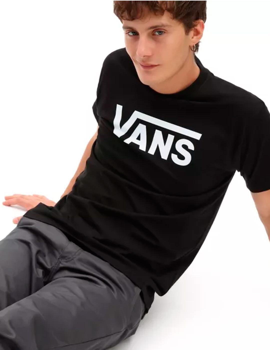 VANS picture