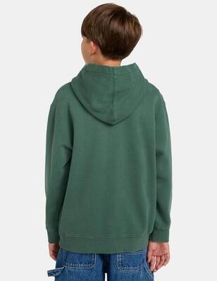 Sudaderas jerseys polares para Niño Element cornell 3.0 Verde
