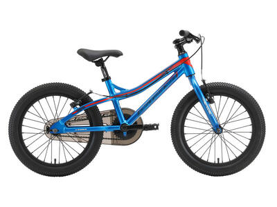 Bicicletta per bambini 18 pollici dai 5 - 7 anni. Mountain
