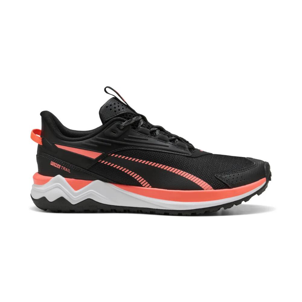PUMA picture