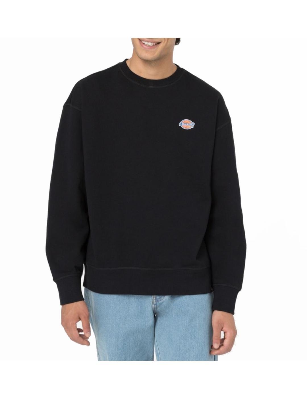 Maillot et sweat à capuche pour homme Dickies Millersburg Noir 1/5