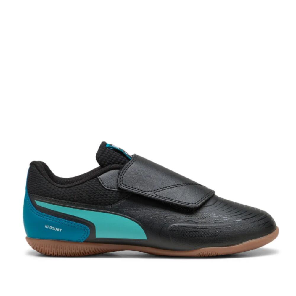 PUMA picture