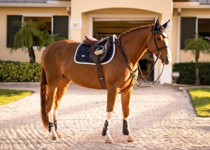 Mata ujeżdżeniowa dla koni Equestrian Stockholm 2/5