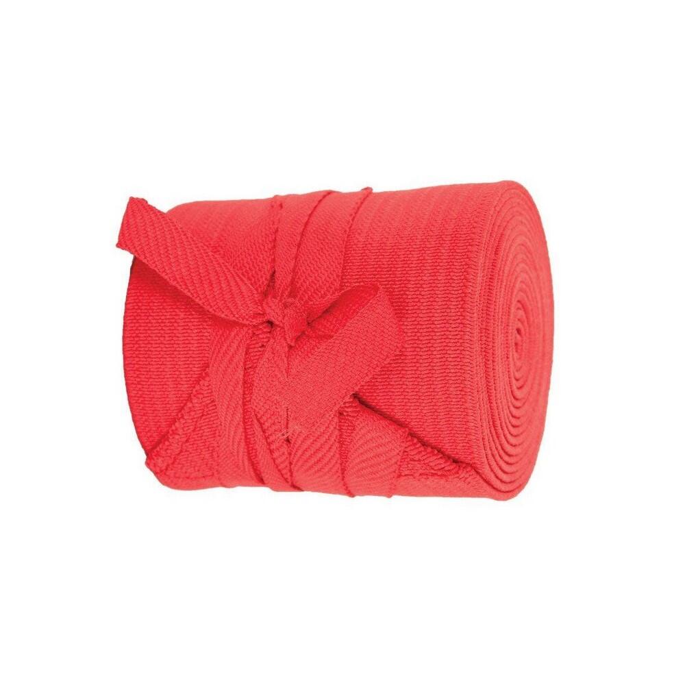 Tail Bandage (Red) 2/2