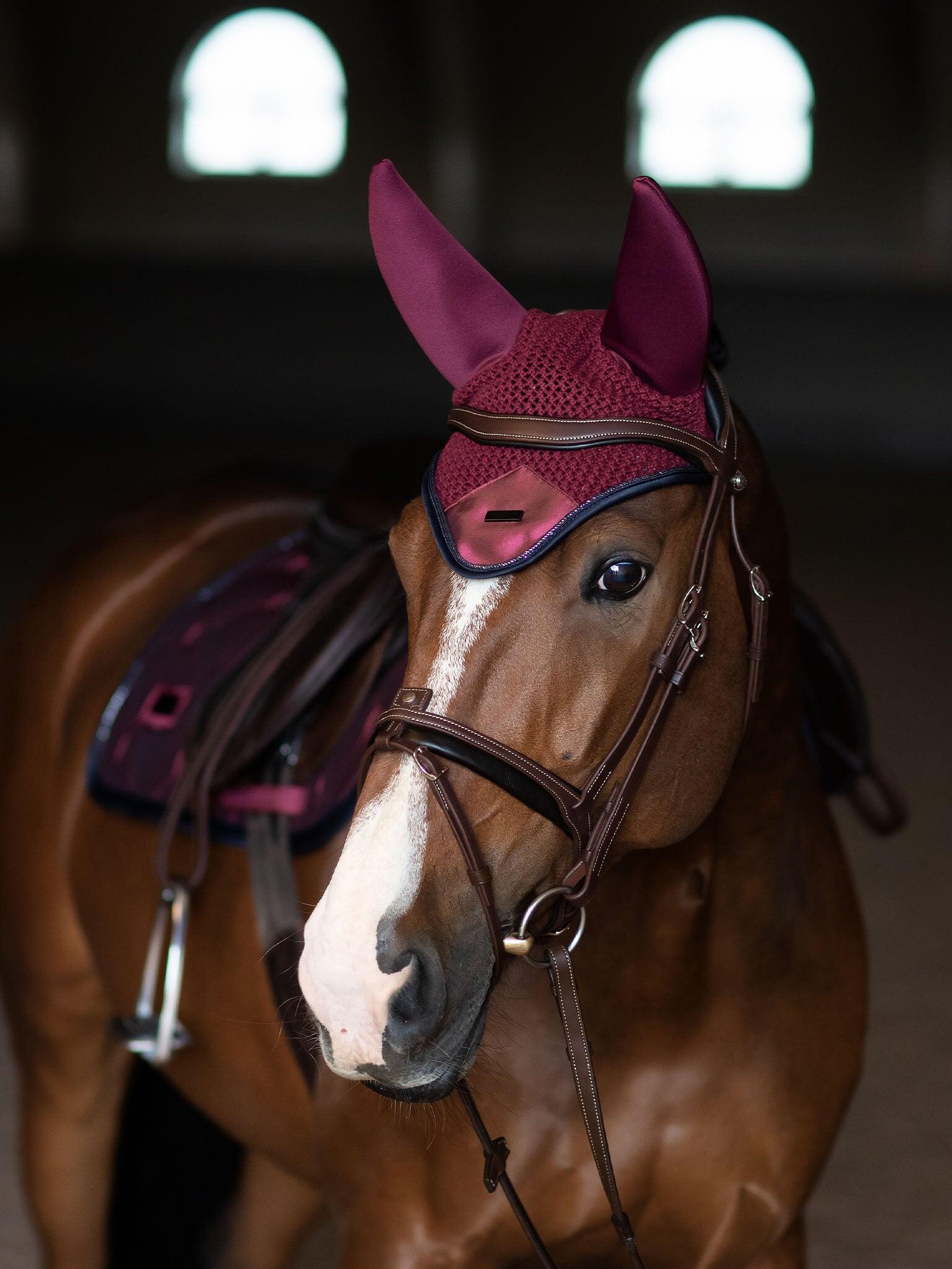 EQUESTRIAN STOCKHOLM picture