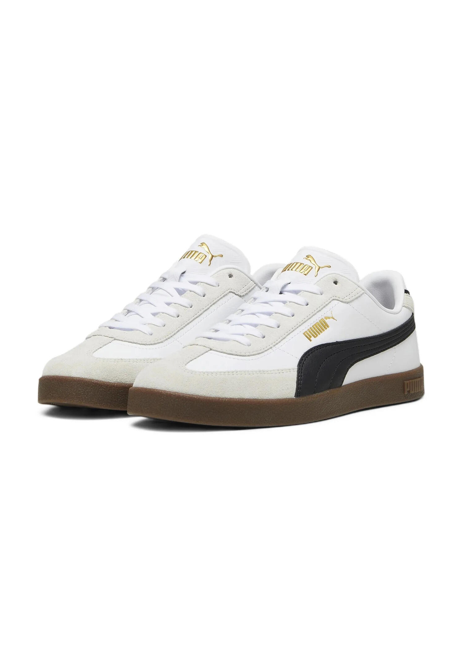 PUMA picture