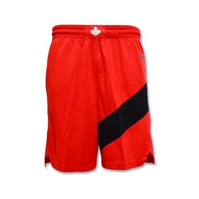 Broeken voor basketbal voor heren nike toronto raptors swingman