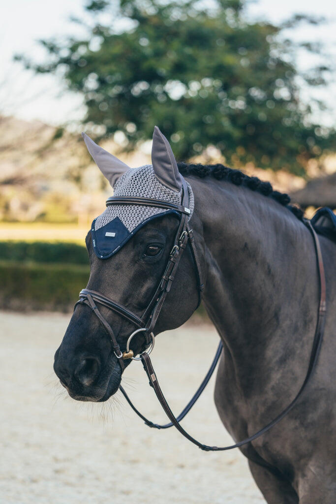 EQUESTRIAN STOCKHOLM picture