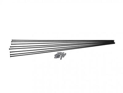 DT SWISS Speichen-Kit Straightpull H1700 Spline 29 Zoll Vorderrad + Hinterrad...