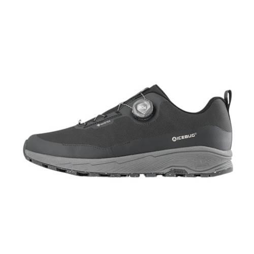 ICEBUG picture
