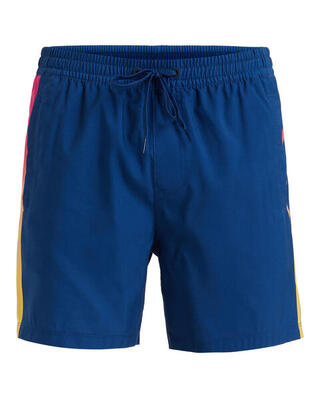 Pantaloncini da bagno Quiksilver Everyday Holmes Volley da uomo 16