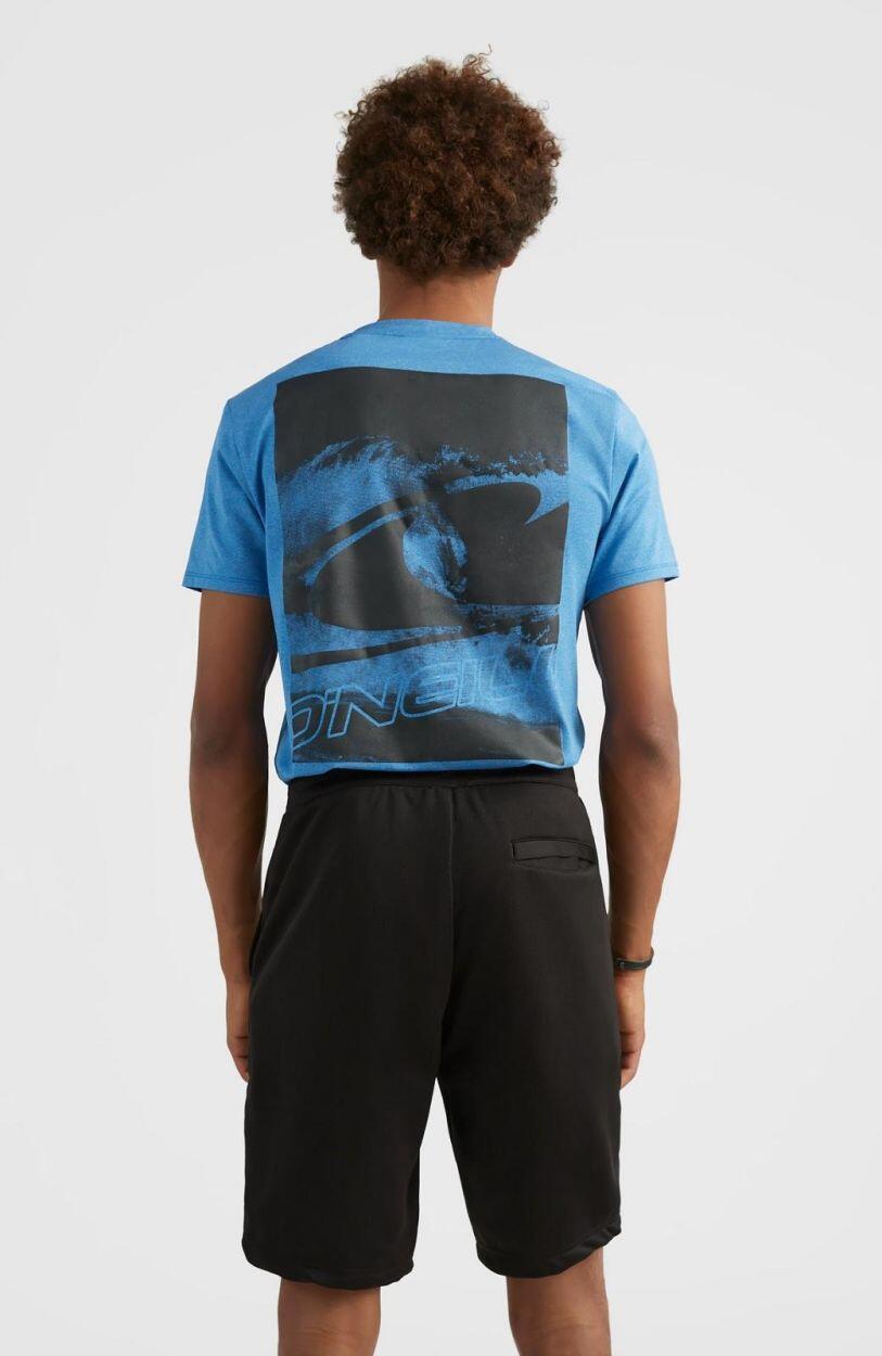O'NEILL O'neill Shorts RUTILE SHORTS HEREN Black Out 5/5