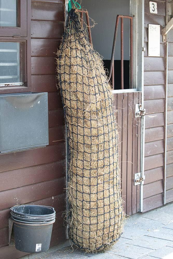 HARRYS HORSE picture