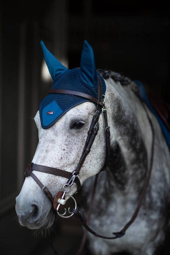EQUESTRIAN STOCKHOLM picture