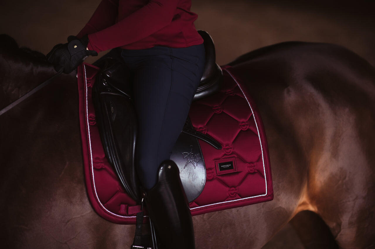 EQUESTRIAN STOCKHOLM picture