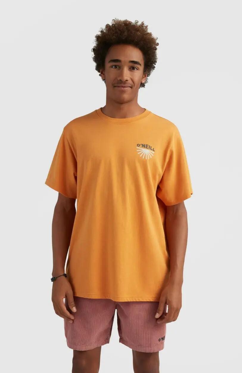 O'NEILL O'neill T-Shirts ALBOR T-SHIRT  Hommes Nugget 5/5