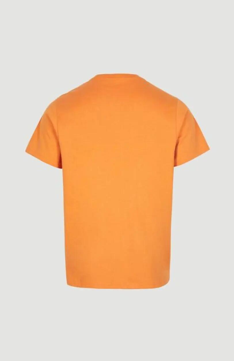 O'NEILL O'neill T-Shirts ALBOR T-SHIRT  Hommes Nugget 2/5