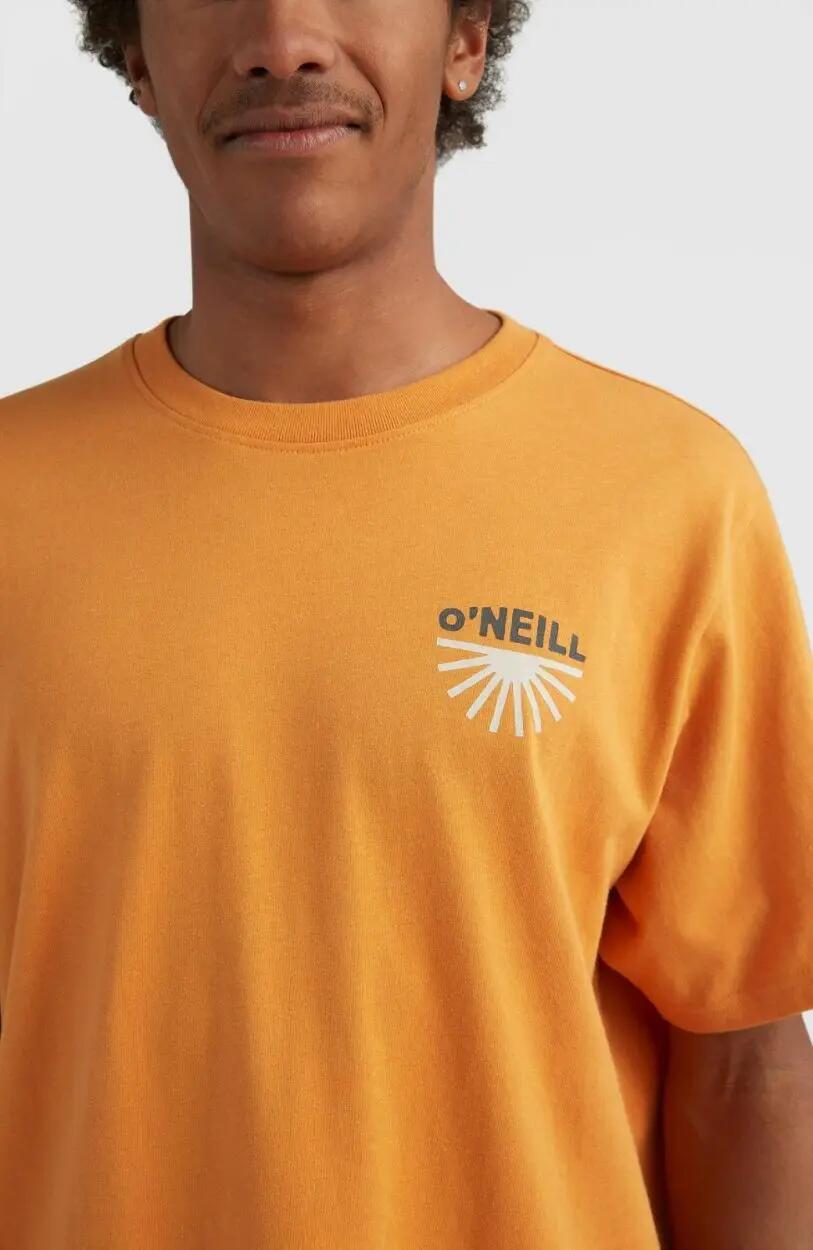 O'NEILL O'neill T-Shirts ALBOR T-SHIRT  Hommes Nugget 4/5