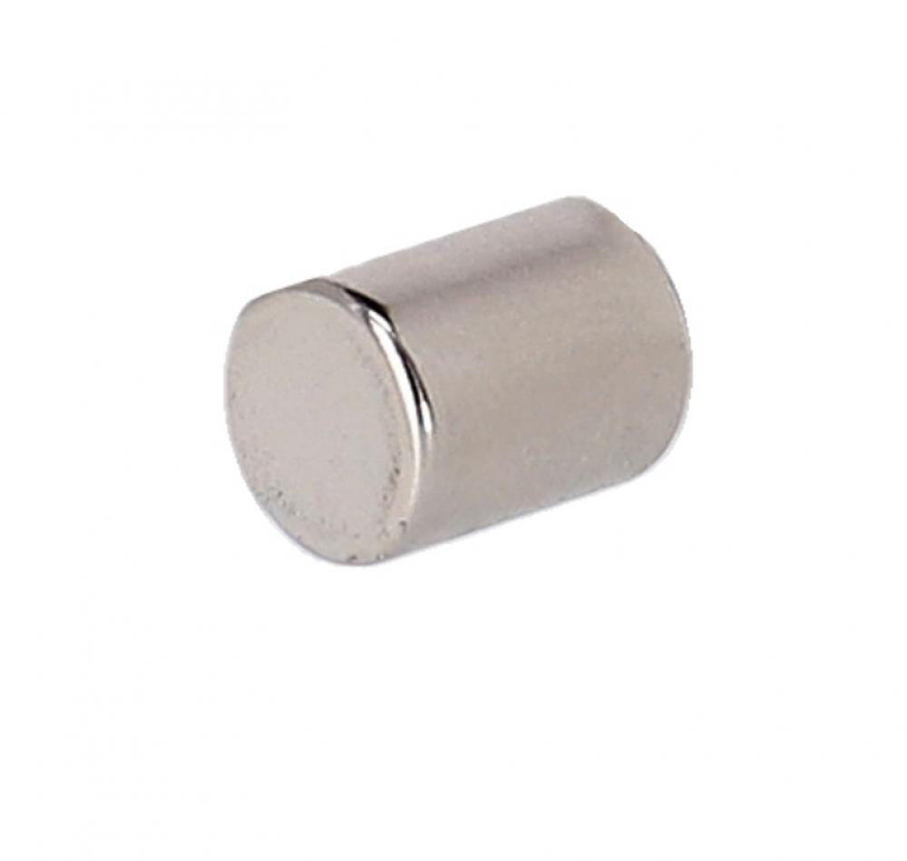 Campagnolo Magnetstift für Nippelmontage UT-WH050 zur Verwendung für MoMag-Fe... 2/2
