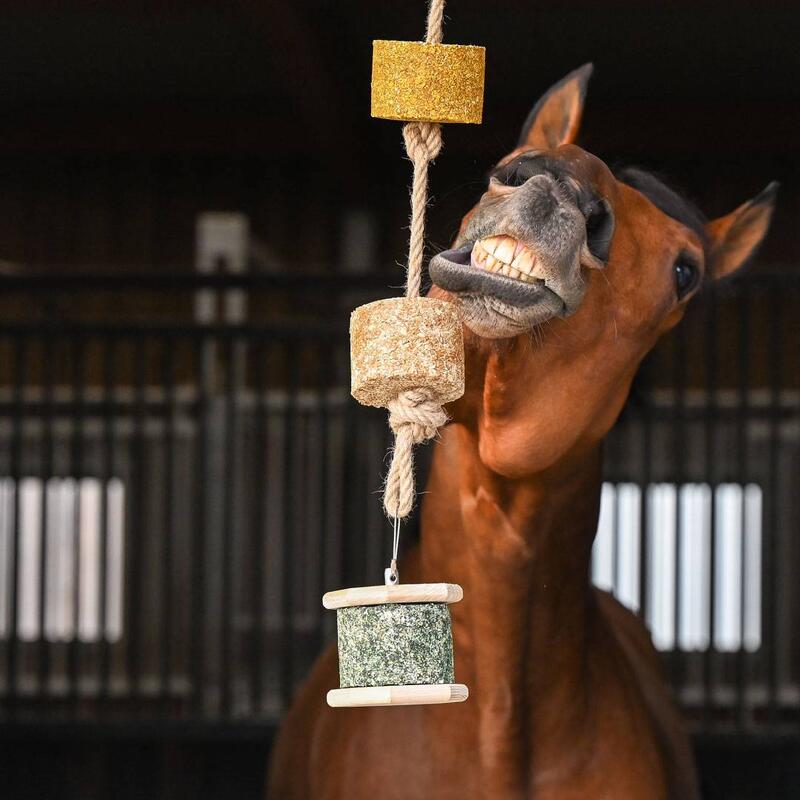 2915b40d-c96f-4253-bb9d-2d3c306902c0_novar