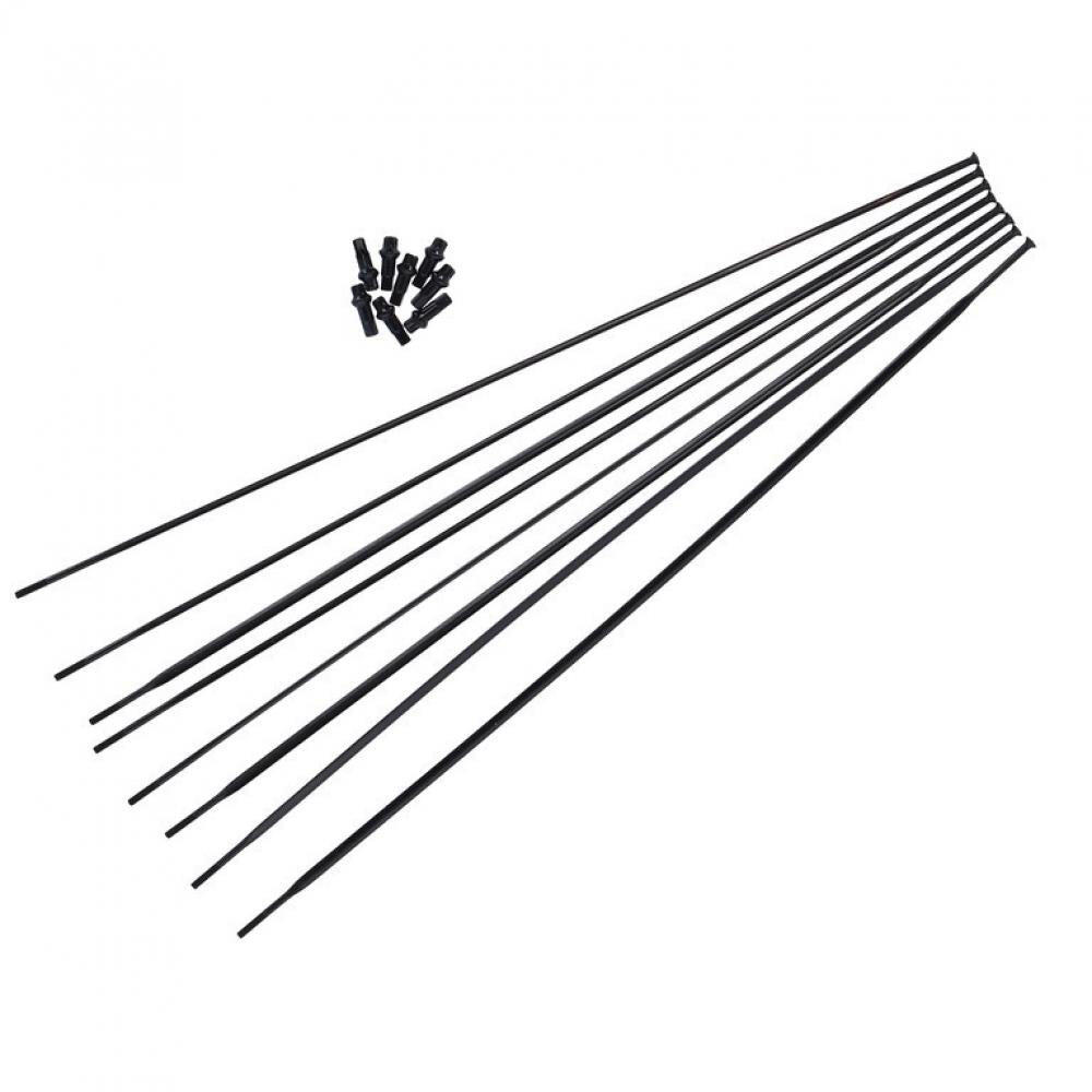 DT Swiss Speichenkit für HE 1800 SPLINE 700C 32 Speichen Schwarz - präzise La... 1/2