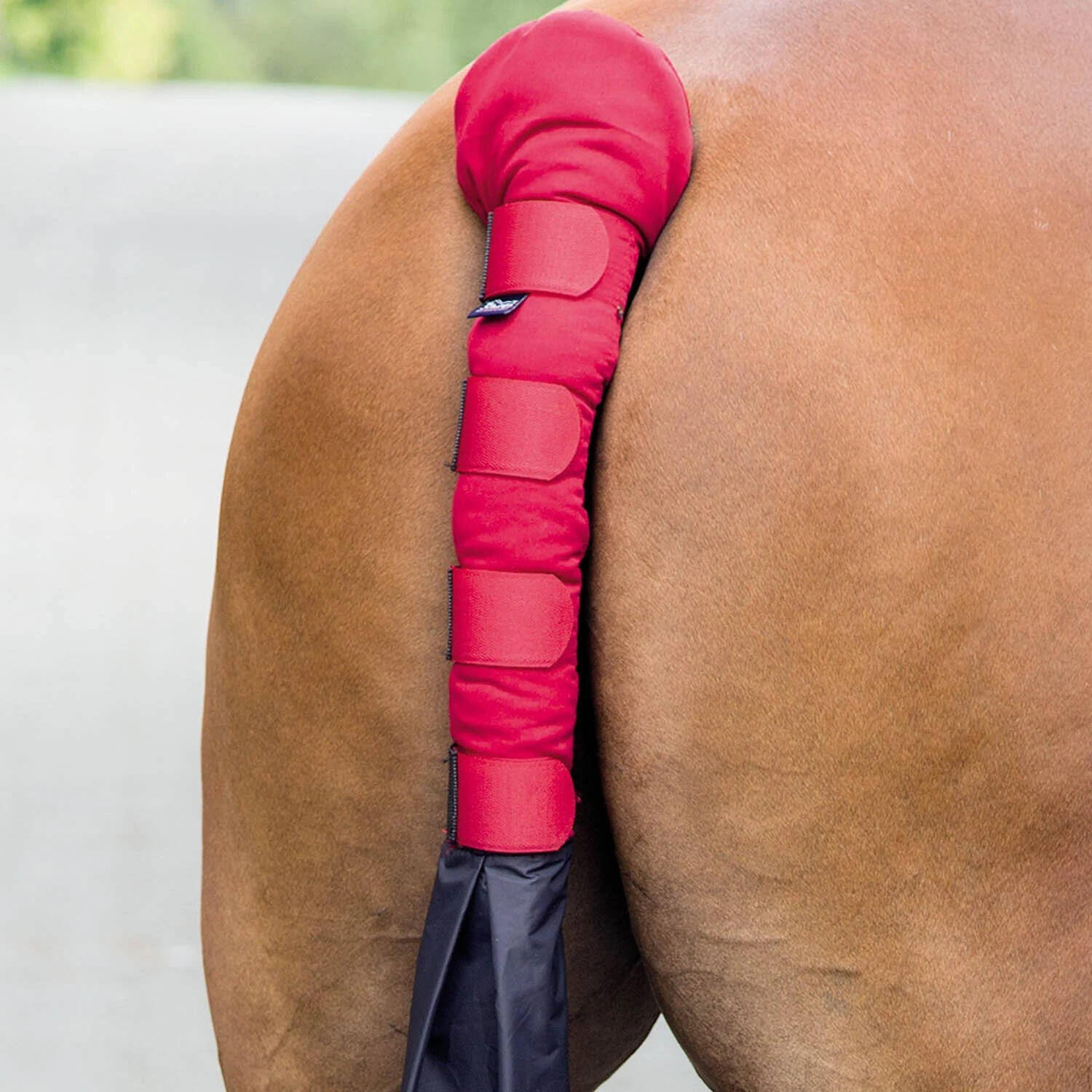Horse Tail Guard With Bag (Red) 3/3