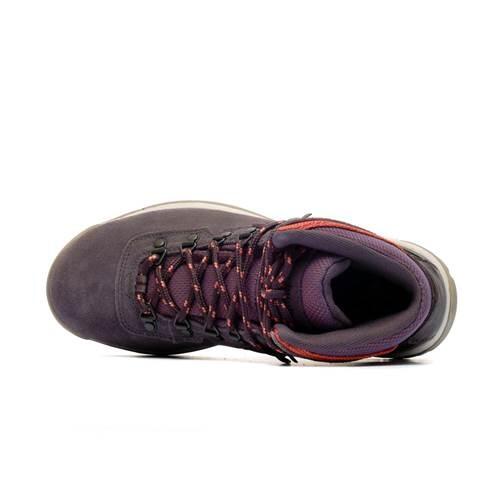 Chaussure randonnée femmes Columbia Newton Ridge Plus Wp 4/7