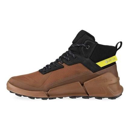 ecco Biom X Mountain Schuhe braun GORE-TEX