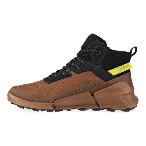 ecco Biom X Mountain Schuhe braun GORE-TEX
