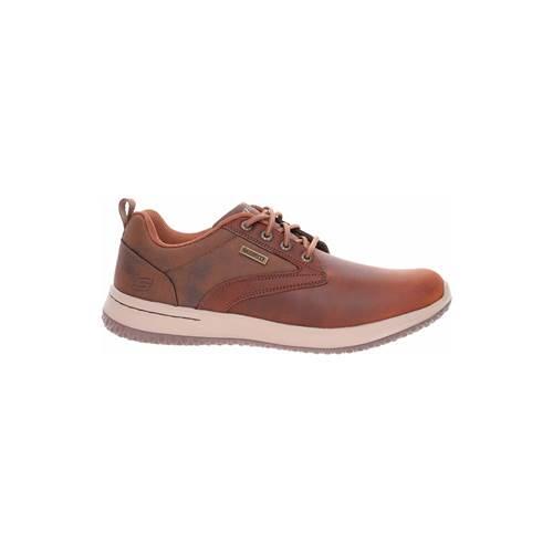 SKECHERS picture