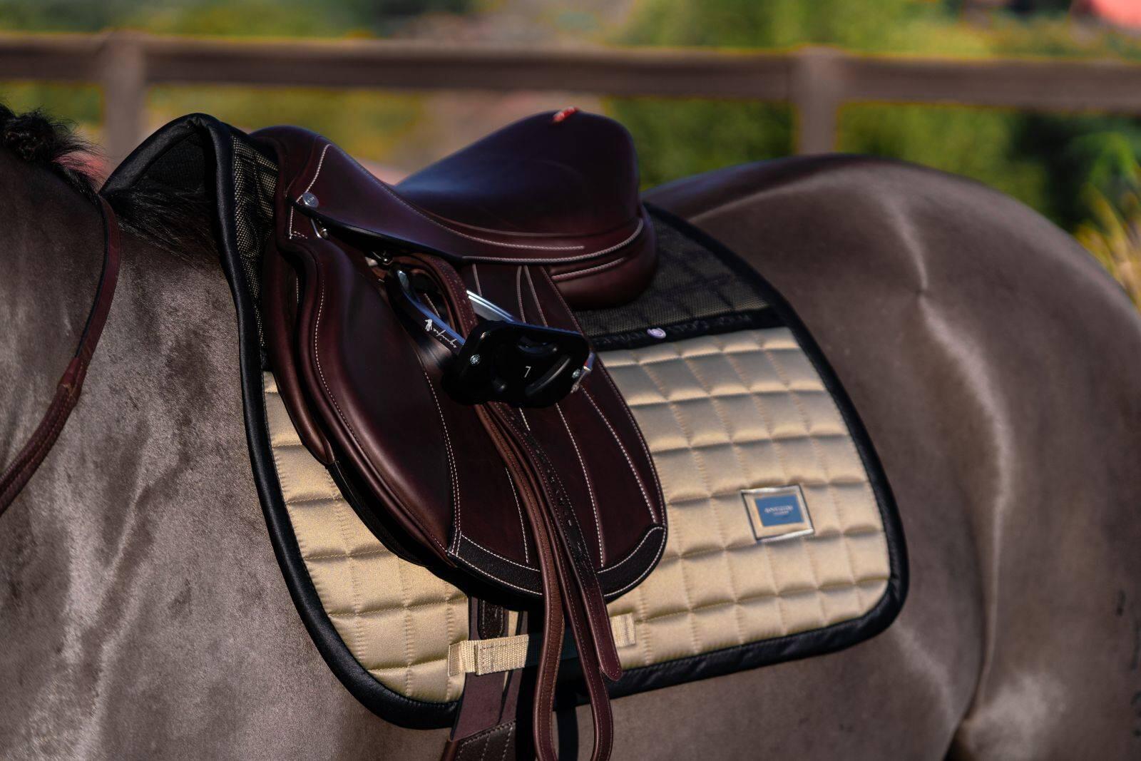 EQUESTRIAN STOCKHOLM picture