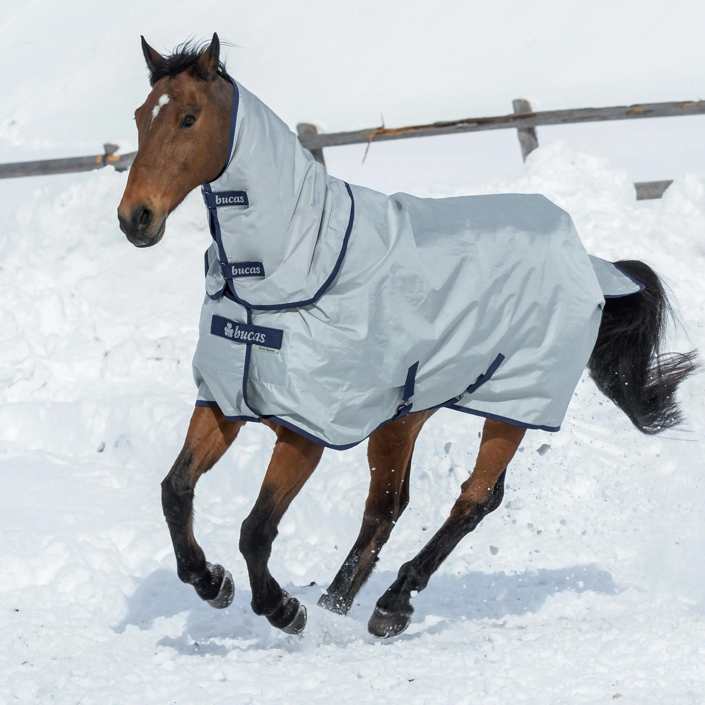 Coperta da paddock per cavalli Bucas Power Neck 300g 5/5