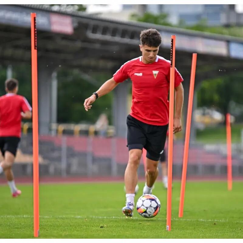 10x ELITE 33mm 170cm Trainings- und Slalomstöcke 2/2
