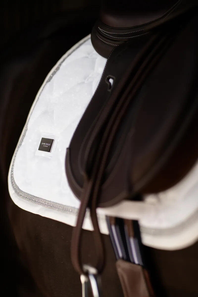 EQUESTRIAN STOCKHOLM picture