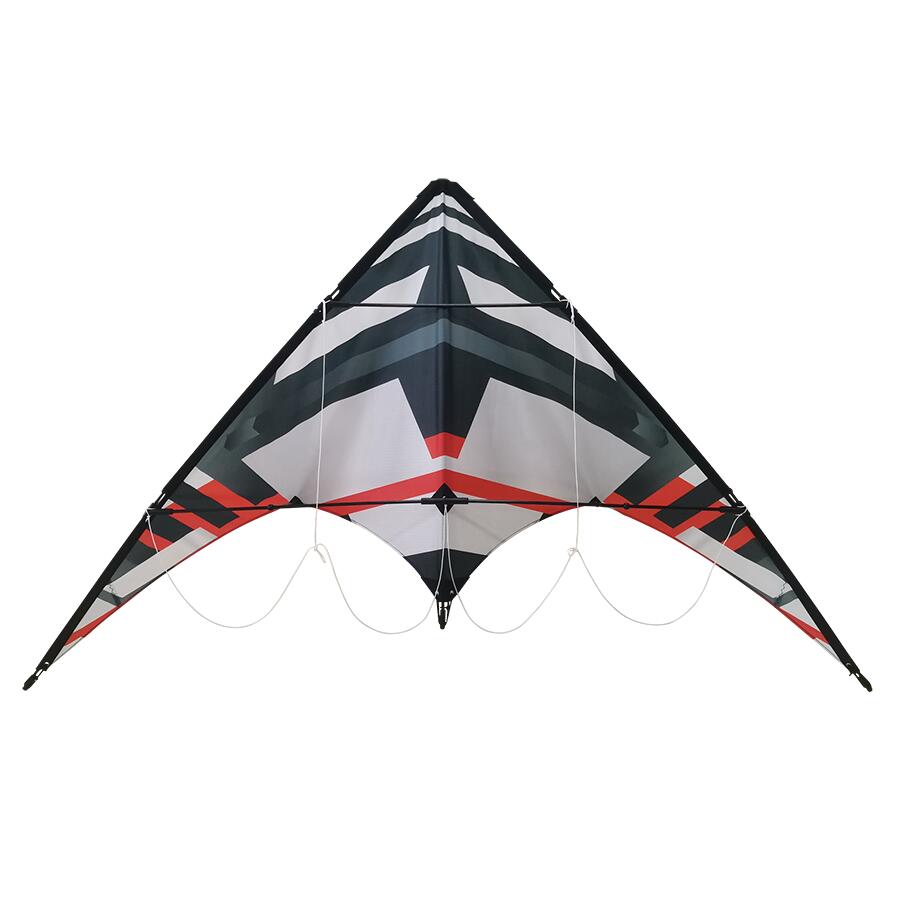 CONQUERAIR picture