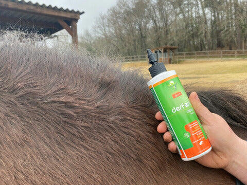 Lotion DERFEN™ "CLEAR" - Animaderm 3/7