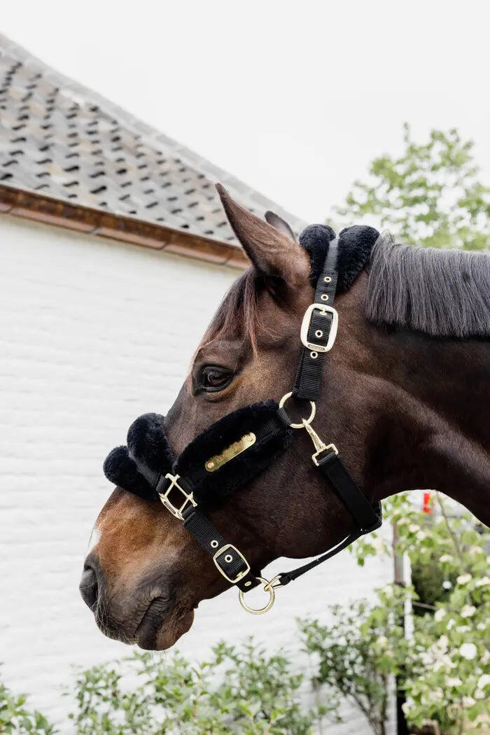 Licol nylon mouton soft noir pony 5/5