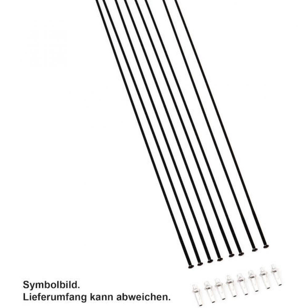 DT SWISS picture