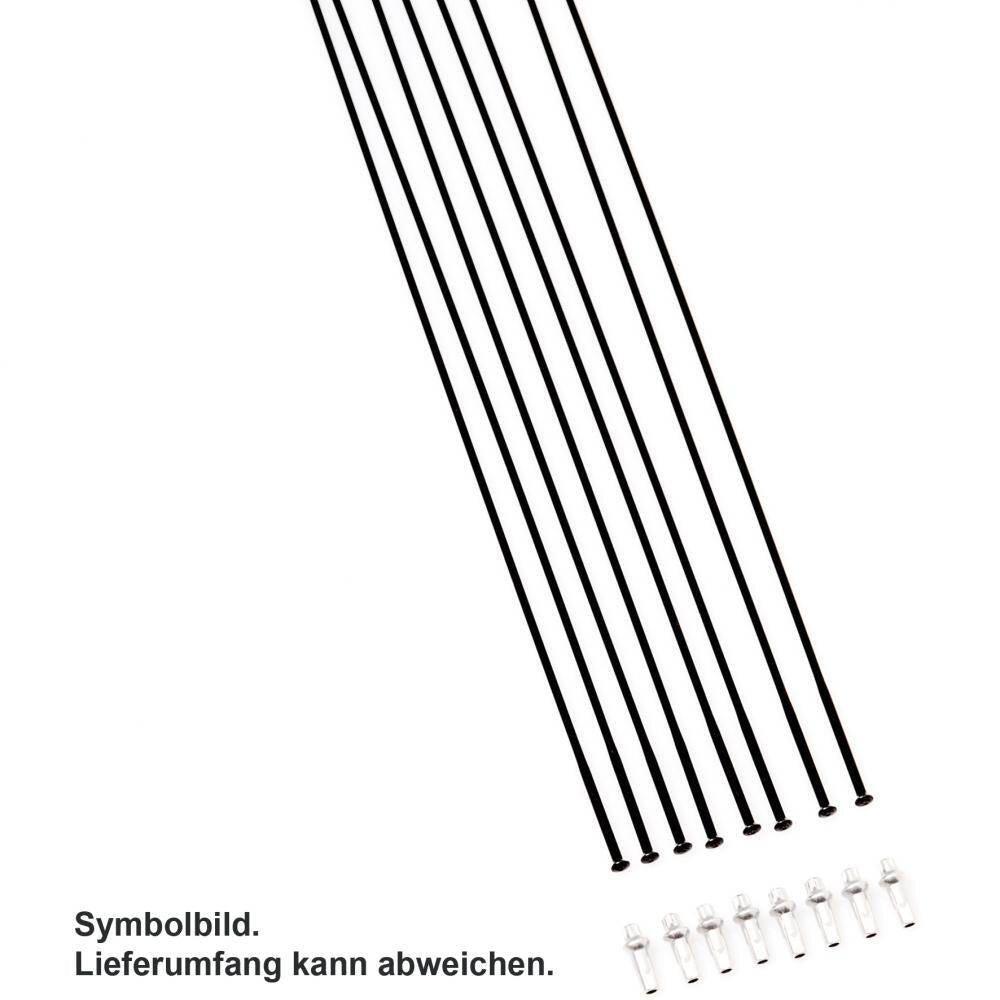 DT SWISS Kit de rayons PR 1400 OXIC DI 32 RB My 19-20 Vr+Hr noir 2/2
