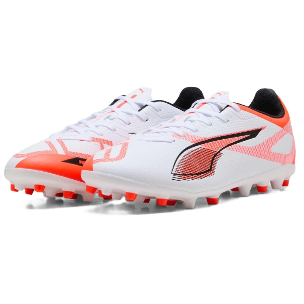 PUMA picture