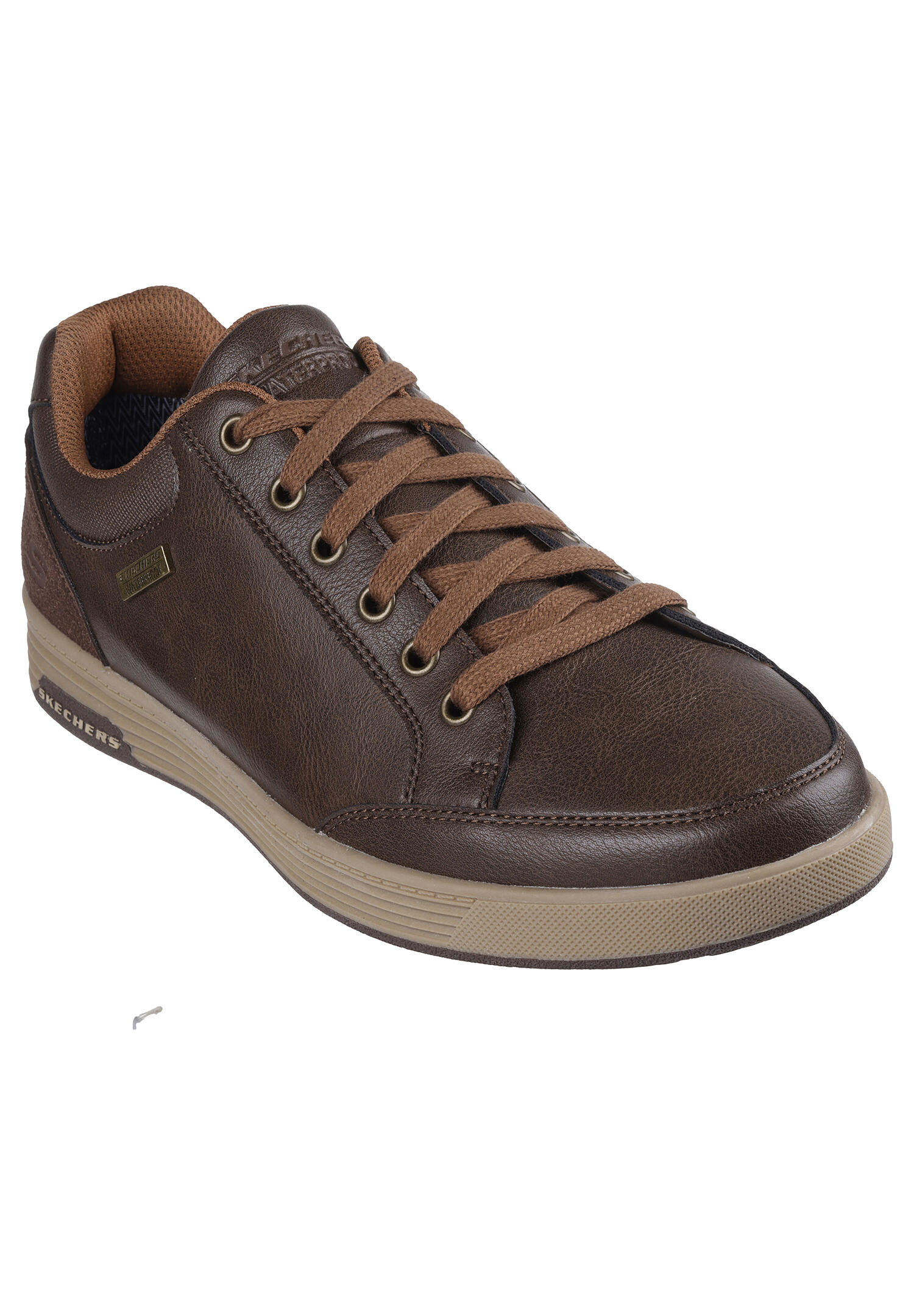 SKECHERS picture