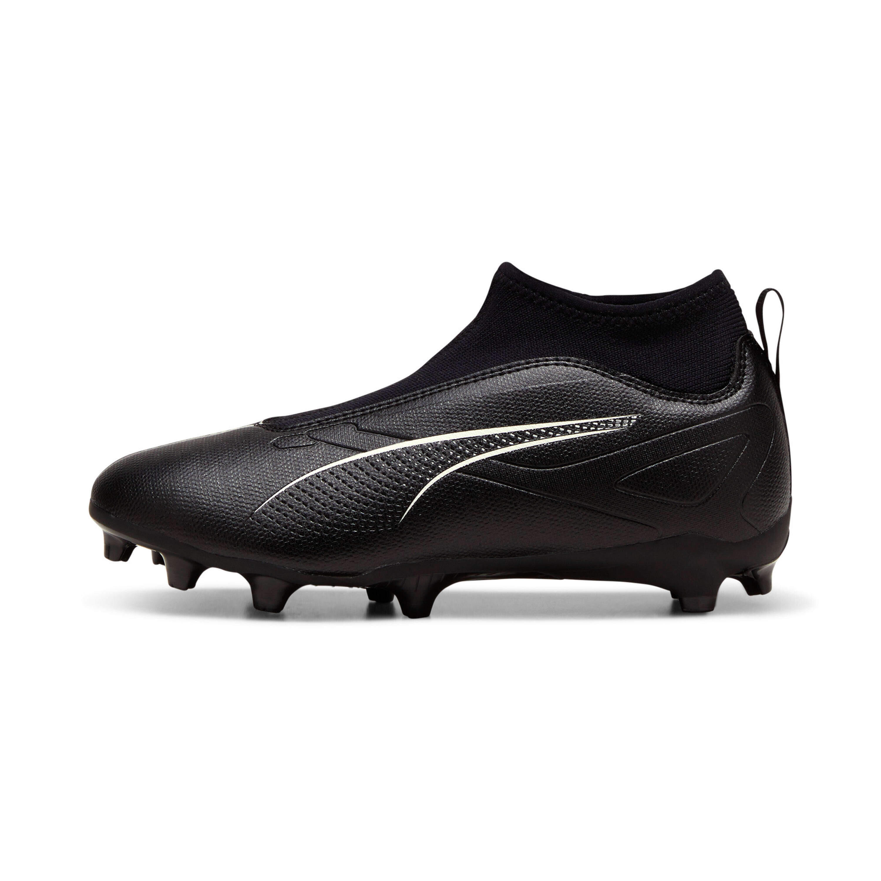 PUMA picture