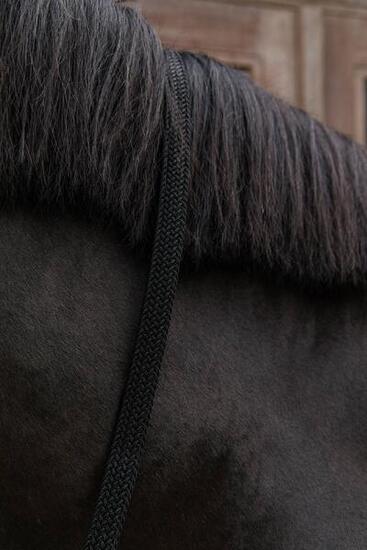 Lunghina cavallo in nylon Kentucky