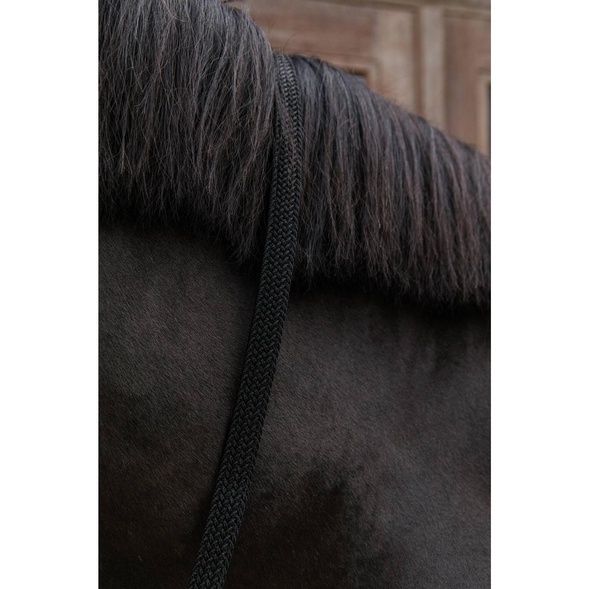 Kentucky Horsewear - Longe En Nylon Tressé - Kentucky - Bonnet Cheval - Noir - No Size - Decathlon