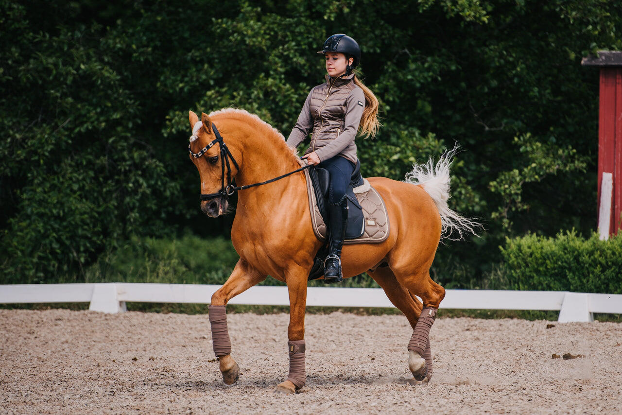 EQUESTRIAN STOCKHOLM picture