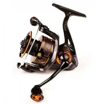 ZFISH picture