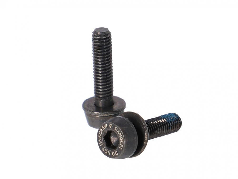Campagnolo Schrauben H11 (Scheibenbr.) AC18-DBSC19,2x19mm f.10-14mm hinten 2/2